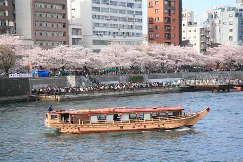 Tokio