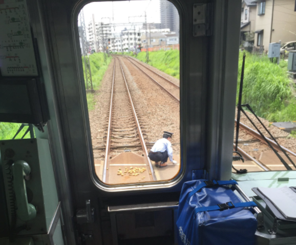 El conductor del tren quita las papas de las vías férreas. (Foto Twitter)