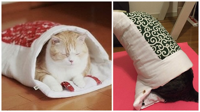 neko futon