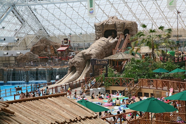 Tokio Summerland
