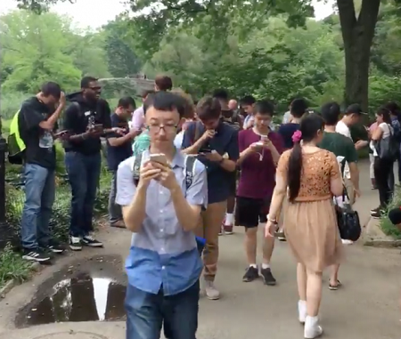 Cazadores de Pokémon en Central Park, Nueva York.
