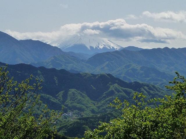 Vista del Fuji desde el Monte Takao (foto Asteiner)