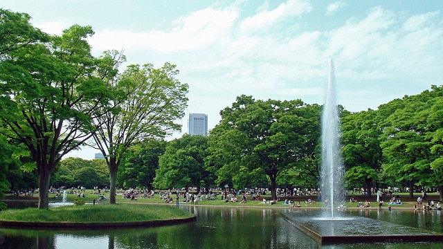 Parque Yoyogi (foto Shinjiro)