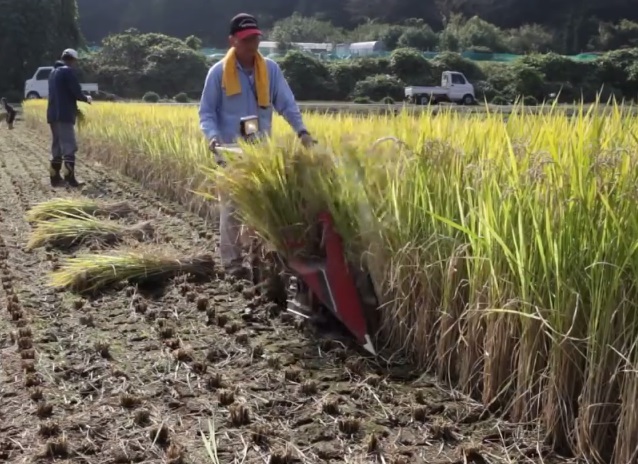 Agricultores