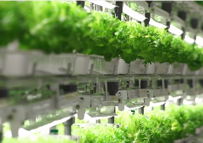 Productos agrícolas