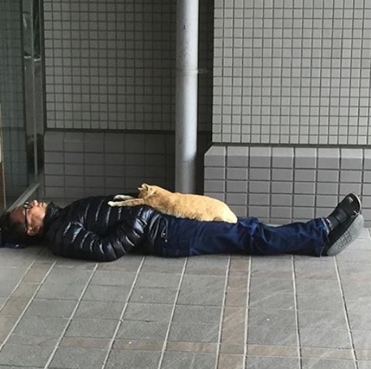 Shibuya5