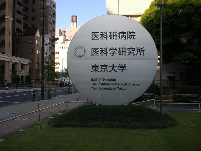 Foto Wikipedia