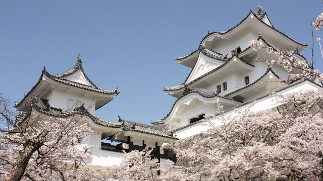 Castillo de Iga-Ueno, Mie (foto Iga)