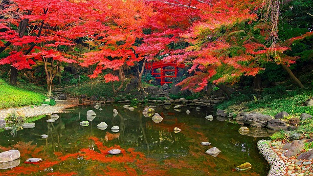 Jardín Koishikawa (foto Tokyo Metropolitan Park Association)