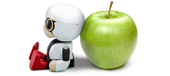 Kirobo Mini