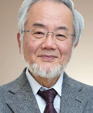 Yoshinori Ohsumi