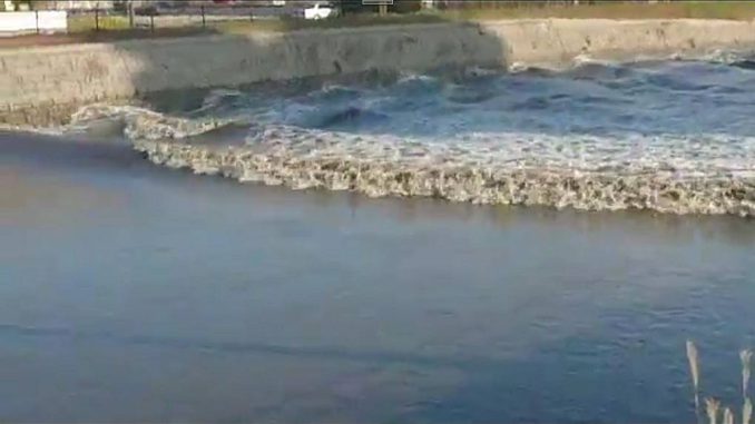 tsunami-en-el-tsunaoshi-en-tagajo-en-miyagi2
