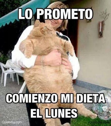 memesdedieta16