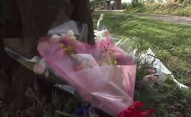 Flores