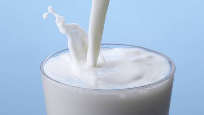 Milk