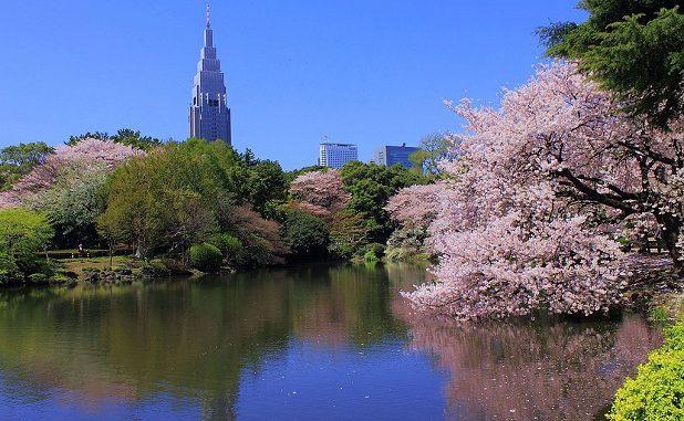 Shinjuku Gyoen