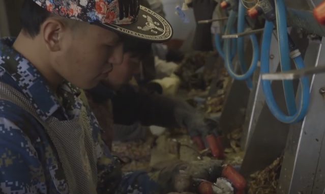 Trabajadores