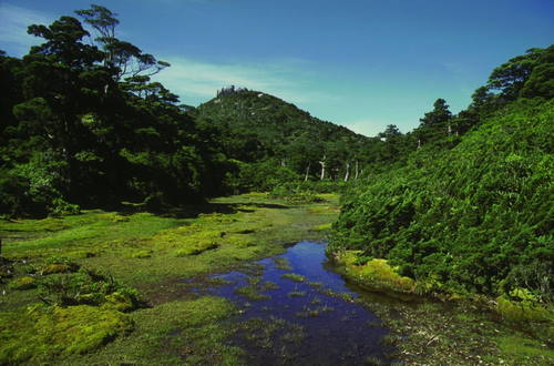 Yakushima