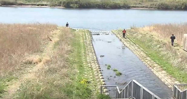 Río