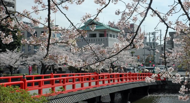 Japón