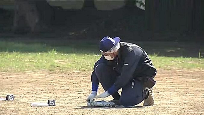 Policía en el parque de Matsudo, Chiba 3