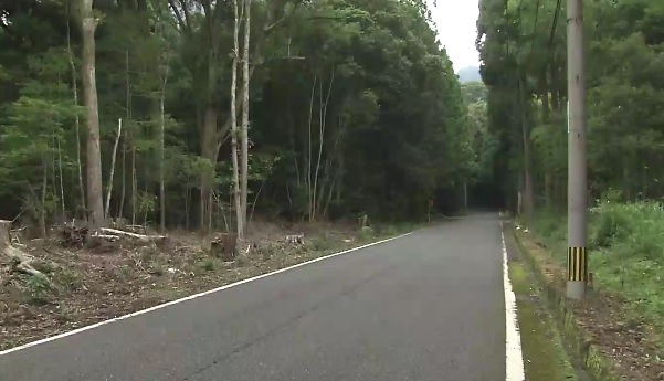Miyazaki