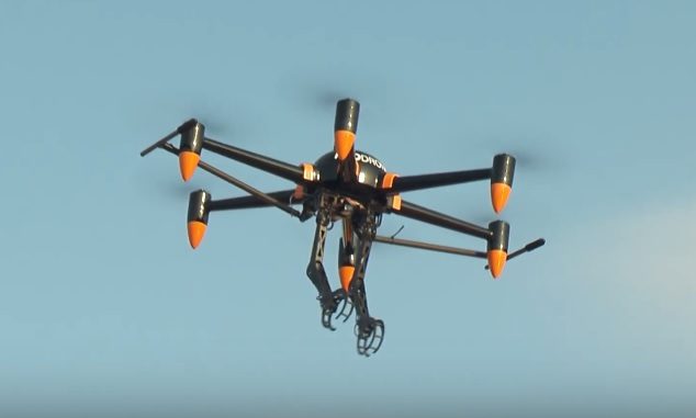 Dron