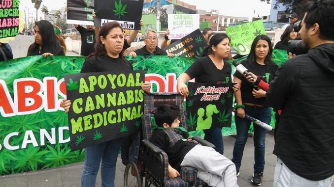 Madres hicieron campaña por el uso del cannabis medicinal. (web La Marihuana)