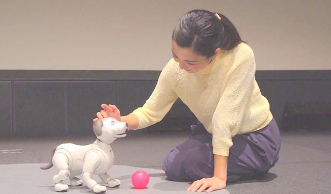 Aibo