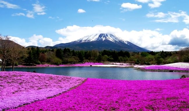 Fuji