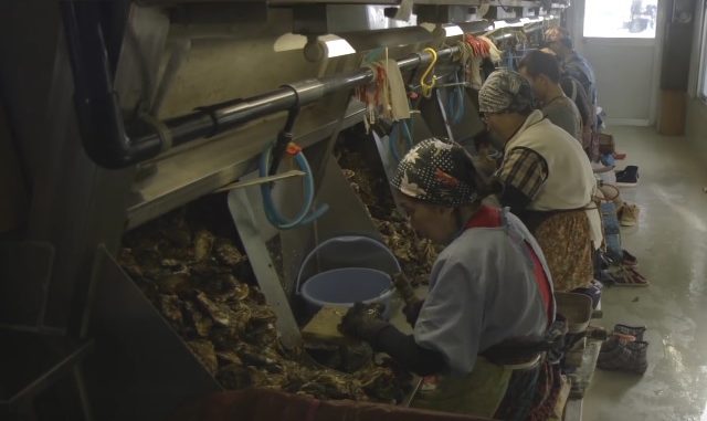 Trabajadores