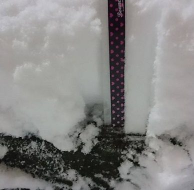 15cm