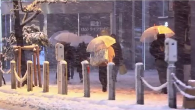 Nieve