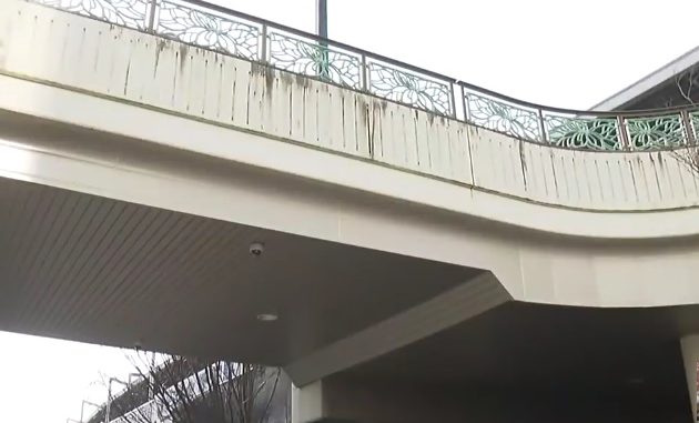 Puente