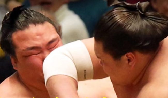 Sumo