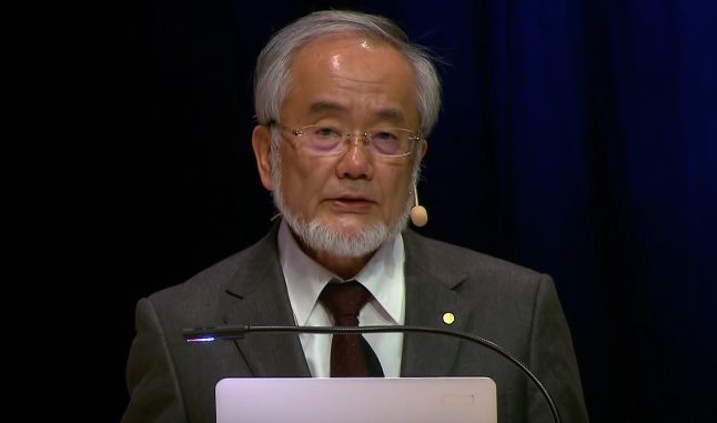 Yoshinori Ohsumi