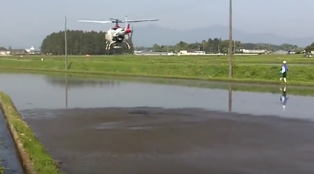Dron