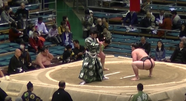 Sumo