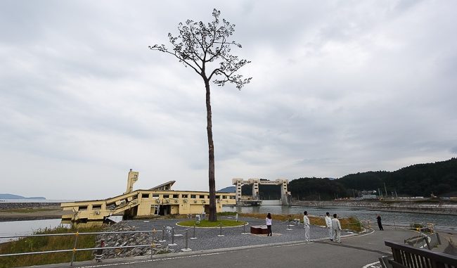 iwate