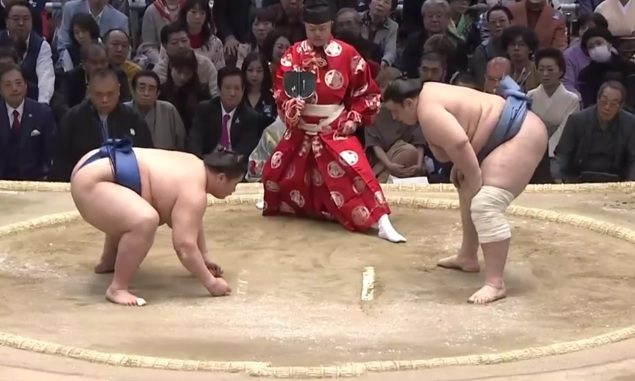 Sumo