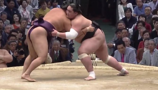 Sumo