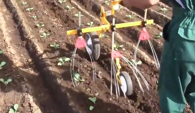 Agricultura