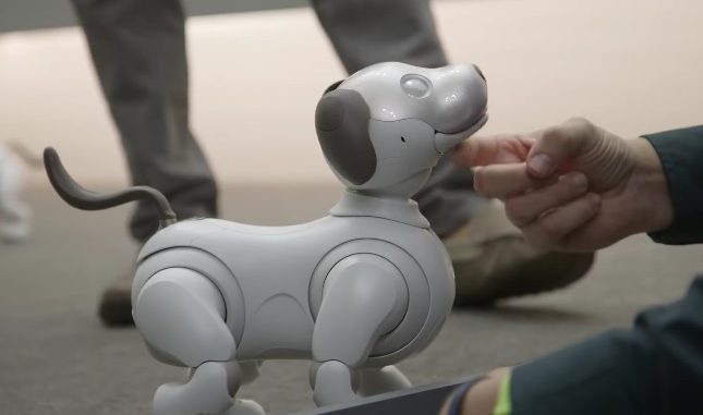 Aibo