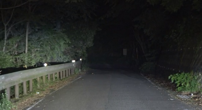 Sagamihara