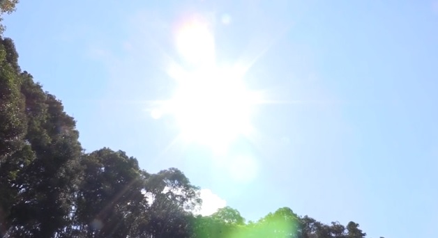 Sol