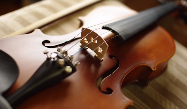 Violín