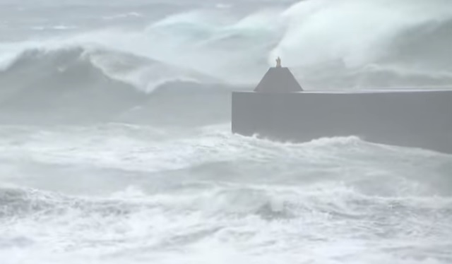 Olas
