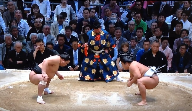 Sumo