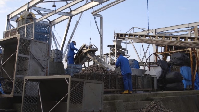 Trabajadores