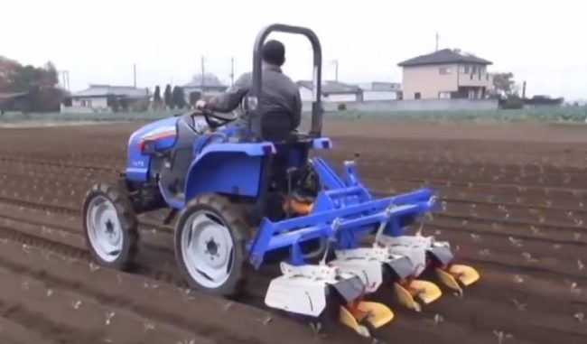 Agricultura